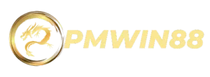 PMWIN88 APP